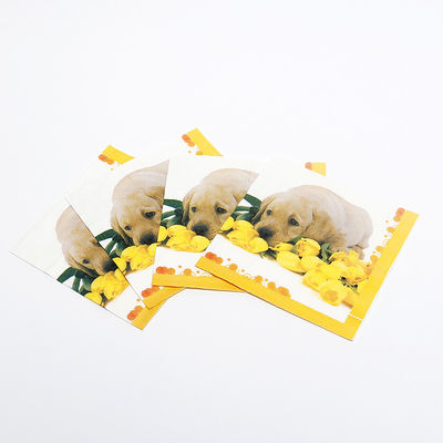 Serviços de papel personalizados impressos Serviços de jantar de coquetel Serviços de jantar 1/4 1/8 N